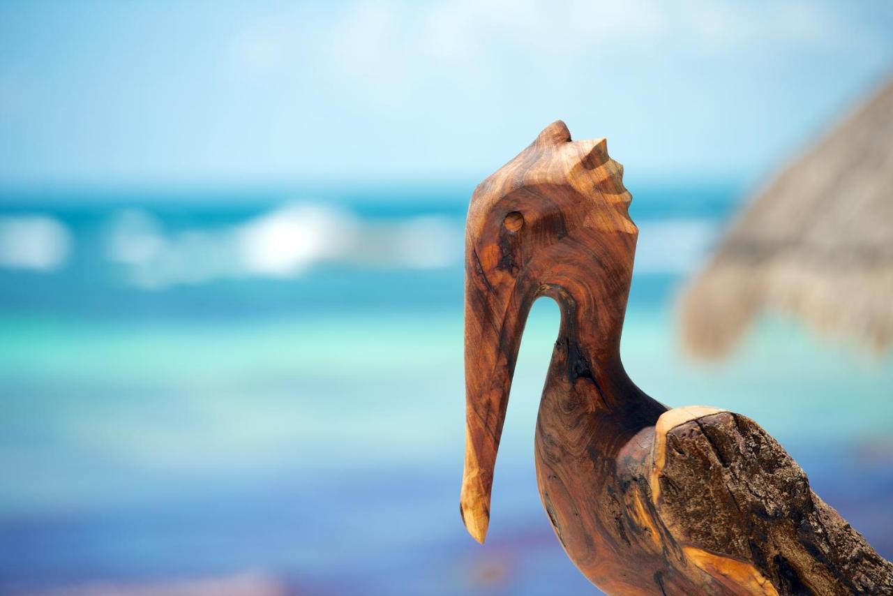 Zamas Hotel Tulum Cameră foto